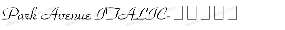 Park Avenue ITALIC字体转换